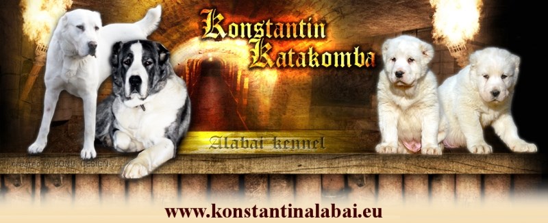 K_Katakomba_banner